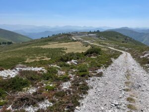 Read more about the article Kneipe, Honig und Geländewagen